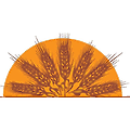 Asharqiyah Development