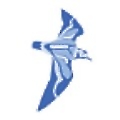Airborne Hydrography
