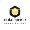 Enterprise Security