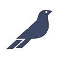 Blackfinch Investments Group