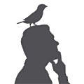GreymatterFinch