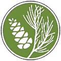 ArborGen
