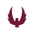 Kratos S1