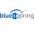 Bluespring Software