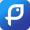 Pictafish