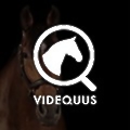 Videquus