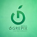 Grepix Infotech