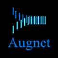 Augnet