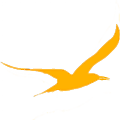 CurrencyBird