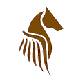 Pegasus Fintech