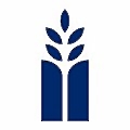 Sinai Health System