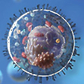 BioCytics