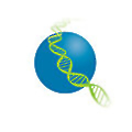 BioGrammatics