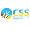 CSS