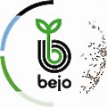 Bejo