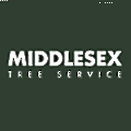 Middlesex Tree