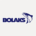 Bolaks