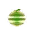 XinJiang Korla Pear