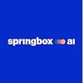 Springbox AI