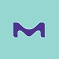 Merck Electronics