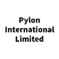 Pylon International