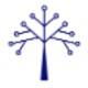 BlueOak Resources