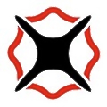 Skyfire Consulting