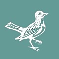 Lark Hotels
