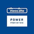 Mecc Alte Alternator Nantong