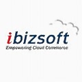 iBizSoft