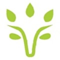 Viridios Capital