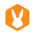 Bunny Studio