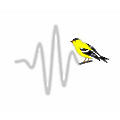 Goldfinch Sensor Technologies and Analytics