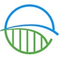 EarthBridge Energy