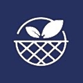 Silal
