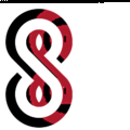 Solid State Networks (SSN)