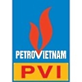 PVI