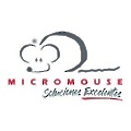 Micromouse