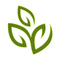 Evolutionary Genomics