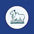 The South India Paper Mills