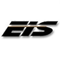 Executive Information Services