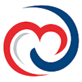 DM Consulting