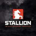 Stallion Infrastructure Services