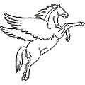 Pegasus Infocorp