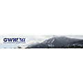 GW Hannaway & Associates