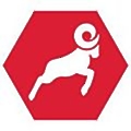 Ram Tool