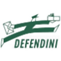 Defendini Logistica