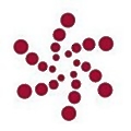 Nanomix