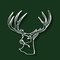 Stag Arms