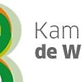 Kamps de Wild